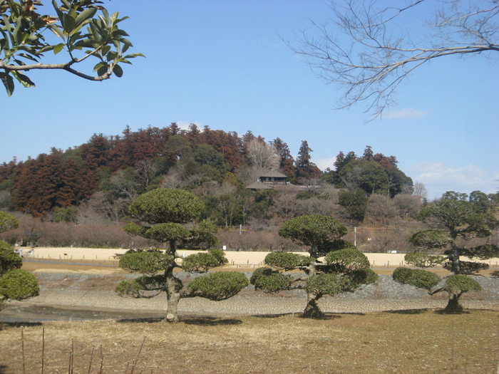 2月2回目の定例会に参加しました。そして今日は水戸梅まつり最初の週末です。_b0211028_14573332.jpg