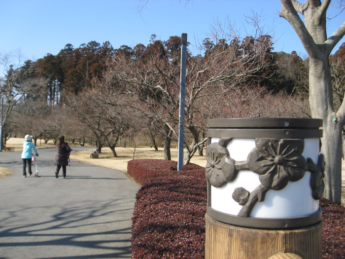 2月2回目の定例会に参加しました。そして今日は水戸梅まつり最初の週末です。_b0211028_14582765.jpg