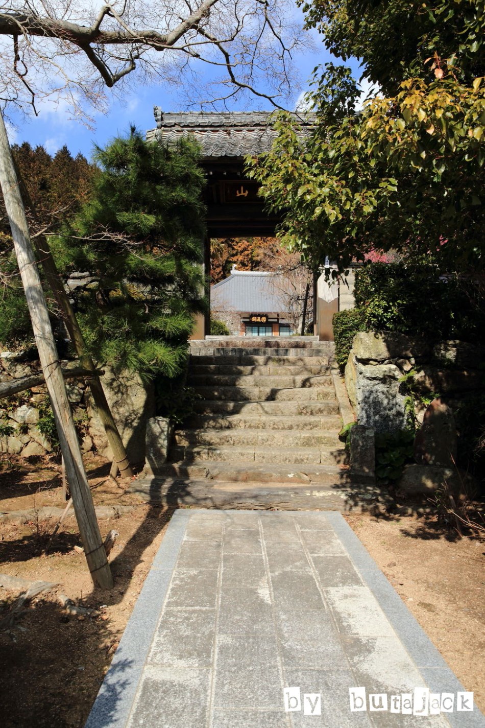 e0220828_2264132.jpg