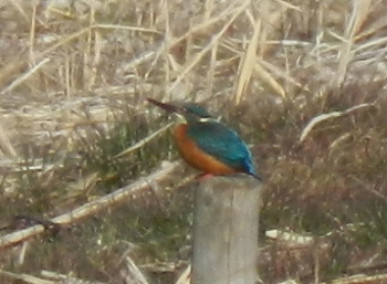 e0172950_2033066.jpg