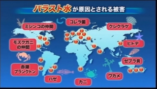 生態系の破壊を引き起こす船舶のバランスを保つためのバランス水を浄化する装置 _b0115553_824591.png