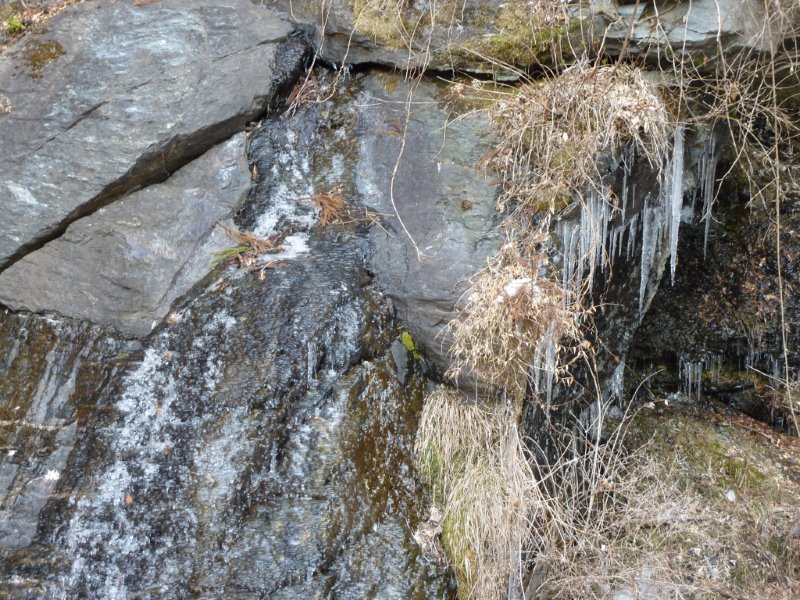 f0019063_11535424.jpg