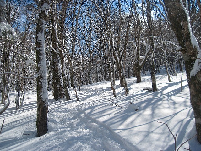 2013.2.23　山スキー塔ノ丸_c0219866_17155488.jpg