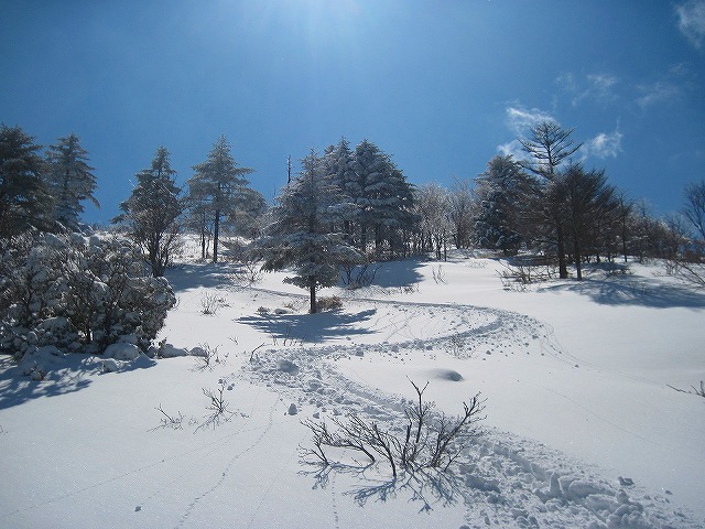 2013.2.23　山スキー塔ノ丸_c0219866_1715662.jpg