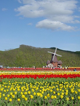 a0267370_12262799.jpg