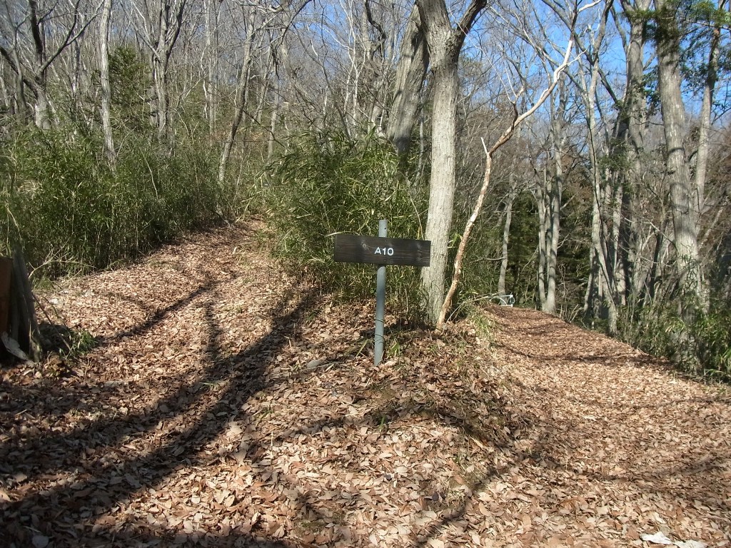 2013/02/02　一本松山　京塚山_d0233770_10253765.jpg