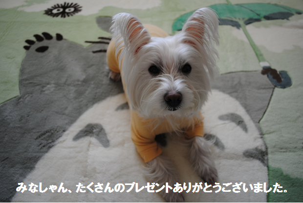 b0242873_153384.png