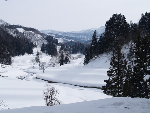 故郷の雪景色。_d0182179_17204462.jpg