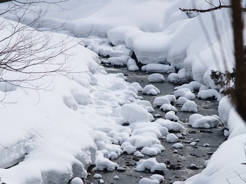 故郷の雪景色。_d0182179_17305070.jpg