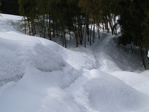 故郷の雪景色。_d0182179_17342148.jpg