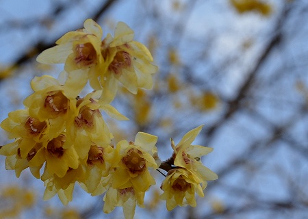 c0229483_122570.jpg