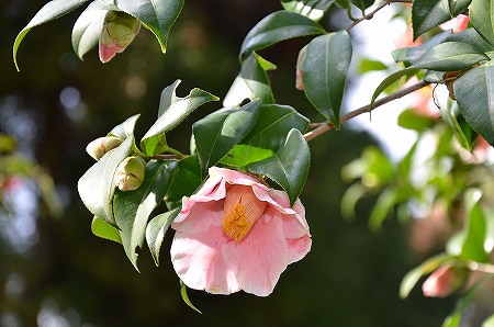 c0229483_2238976.jpg