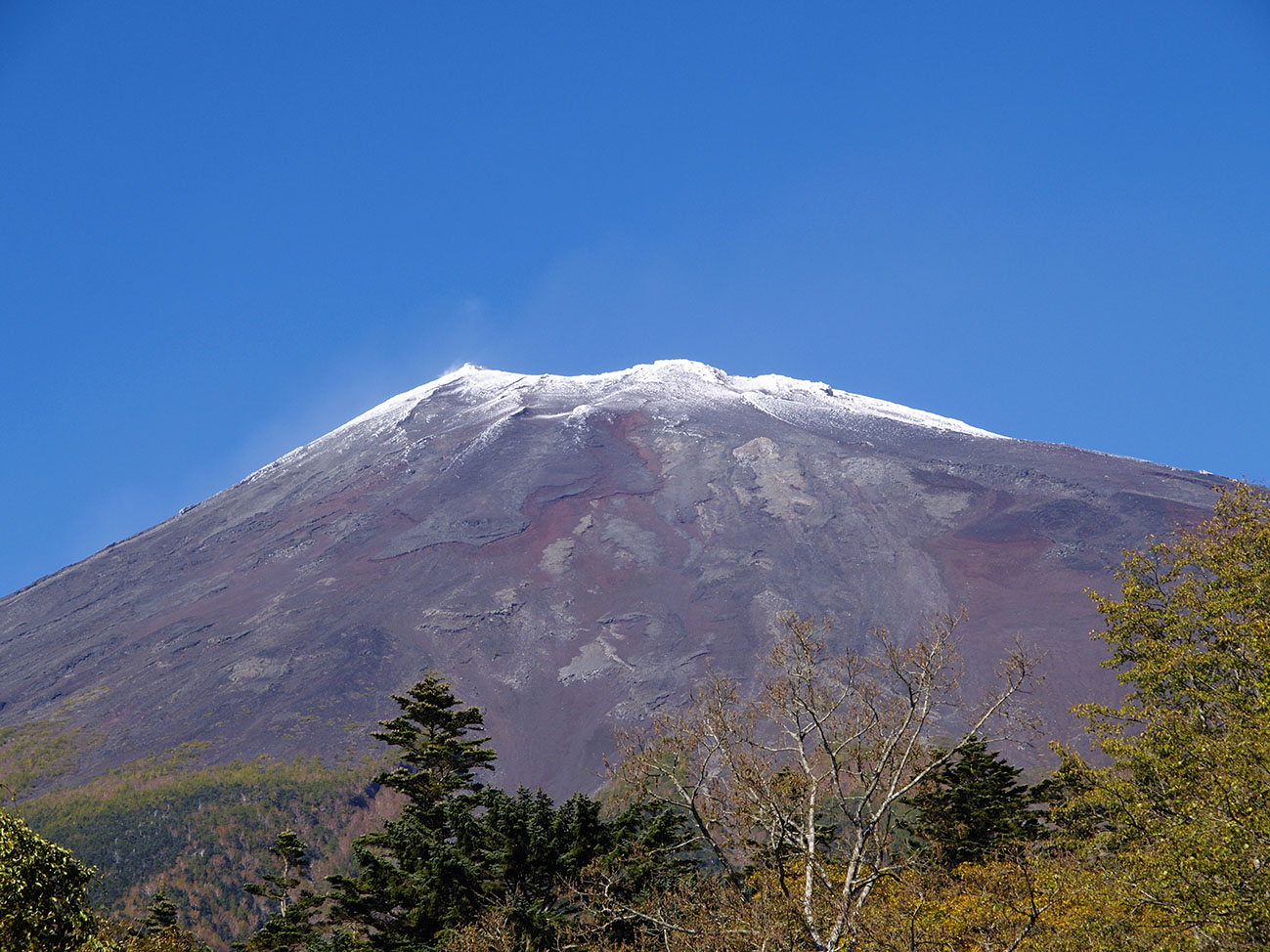 富士山の日_a0110584_2014059.jpg