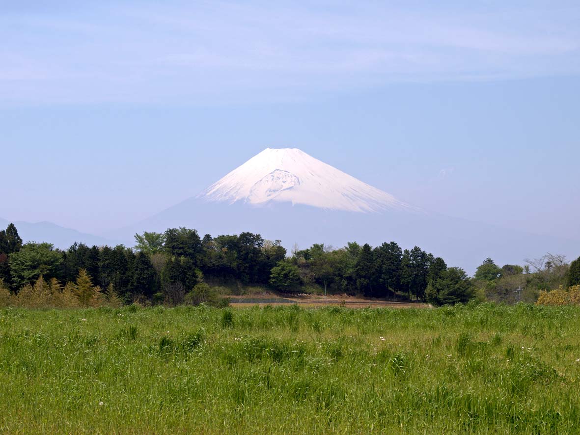 富士山の日_a0110584_2014389.jpg