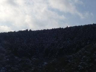 b0098584_2331846.jpg
