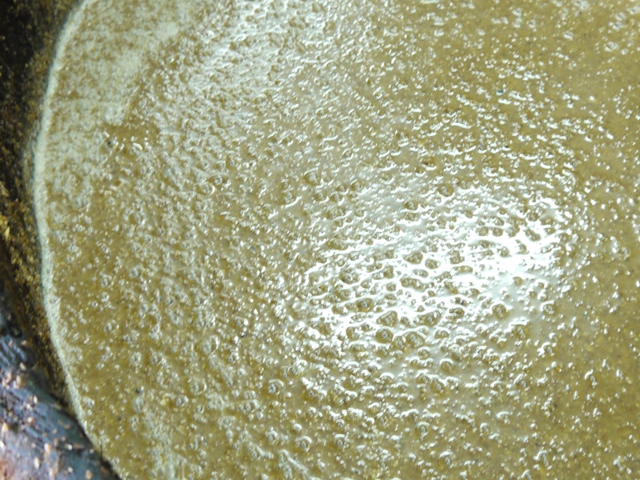 c0115092_83947.jpg