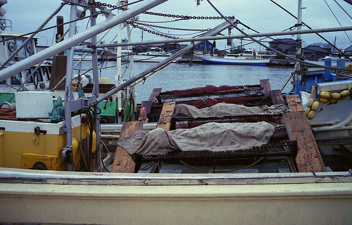 c0214494_846714.jpg