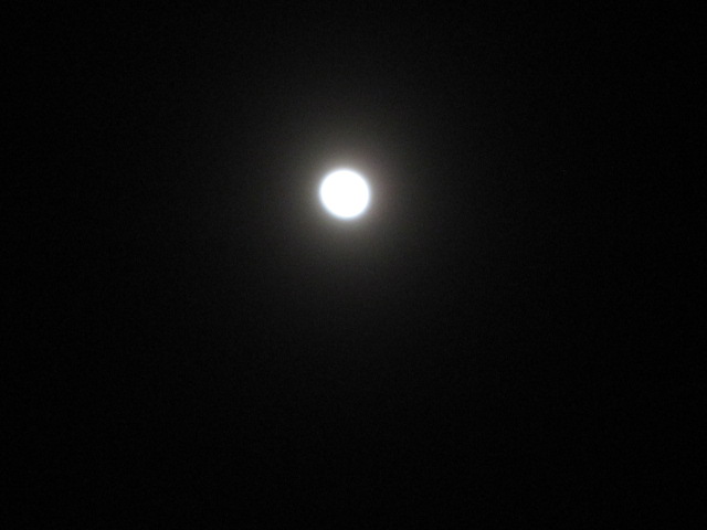 b0249296_19481234.jpg