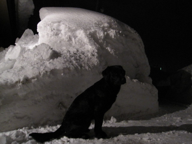 屋根の雪が繋がるとヤバいんです_b0249296_19565346.jpg