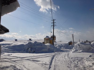 今日の雪景色_d0125196_857198.jpg