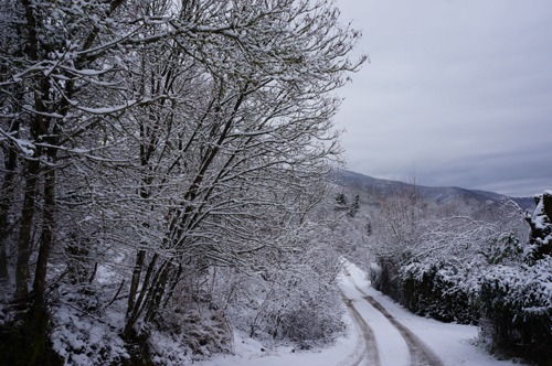 雪の森を一人で歩く_f0106597_23594440.jpg