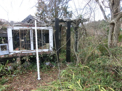 c0156104_1694885.jpg