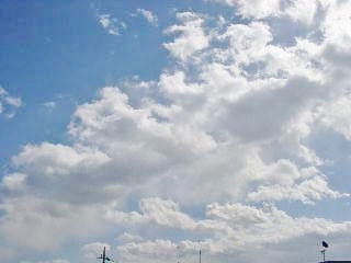d0179306_12102143.jpg