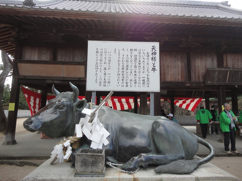 今治市の綱敷天満神社と志島ヶ原と梅林の様子…2016/1/10_f0231709_23423577.jpg