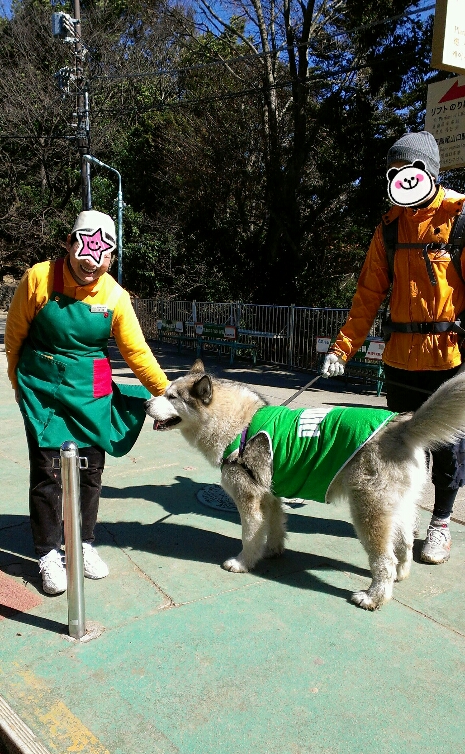 d0241911_17222443.jpg