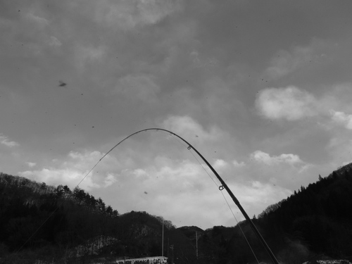 a0236914_9225543.jpg