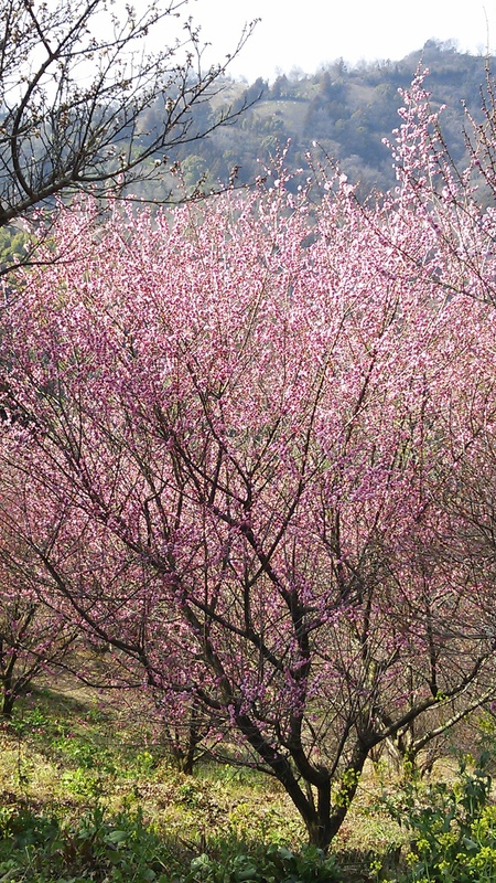 b0279623_294038.jpg