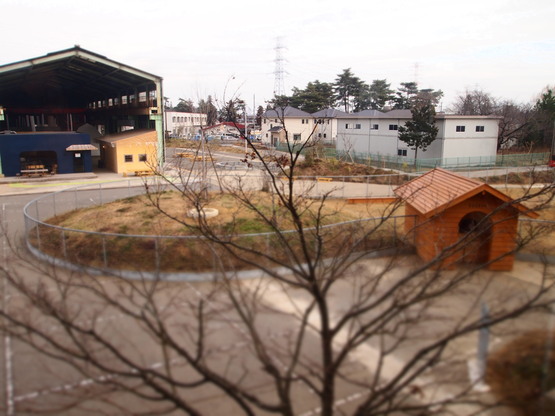 c0215524_0421197.jpg