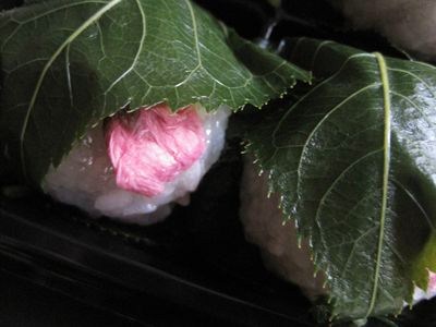 b0180433_2065520.jpg