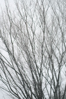 f0002534_19225816.jpg