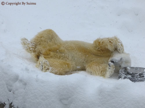 大雪の中のもぐもぐタイム_d0154140_22392258.jpg