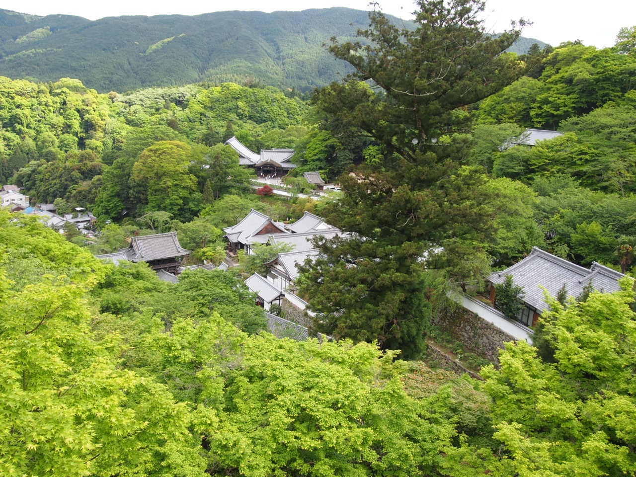 a0158241_2111510.jpg