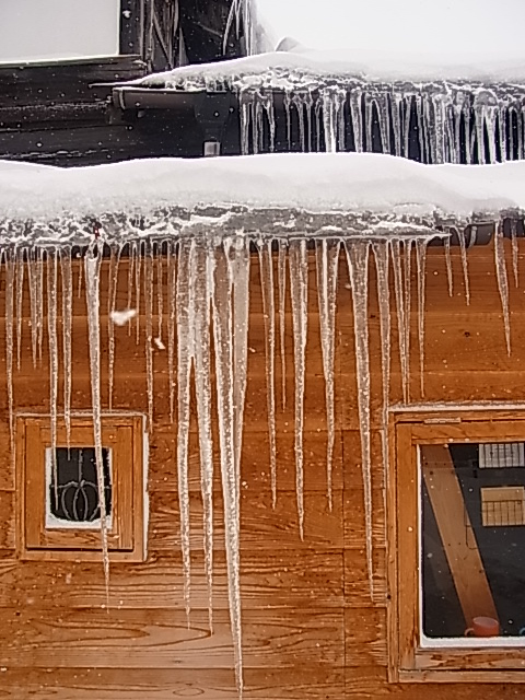 モウレツ吹雪!_b0207642_128257.jpg