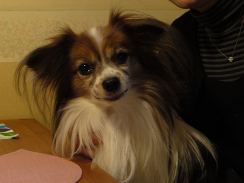 e0100046_152890.jpg