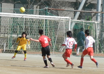 e0172950_1728314.jpg