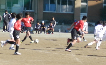 e0172950_1730573.jpg
