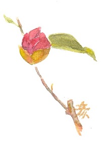 a0191852_13494151.jpg