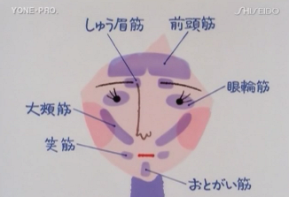 喜怒哀楽が表情筋を介して皮膚にどう影響するか、明るく楽しい生活は皮膚を・・_b0115553_2245462.png