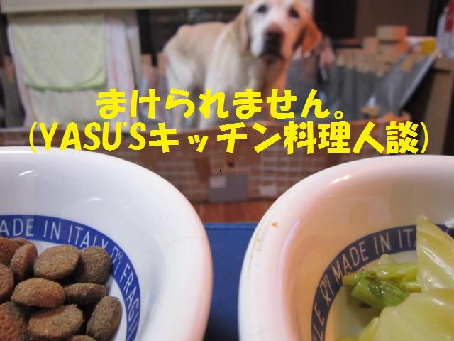 飼主の手作り飯　VS　ドッグフード_b0194556_1863794.jpg