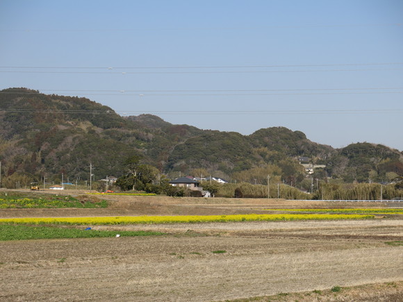d0042380_2121058.jpg