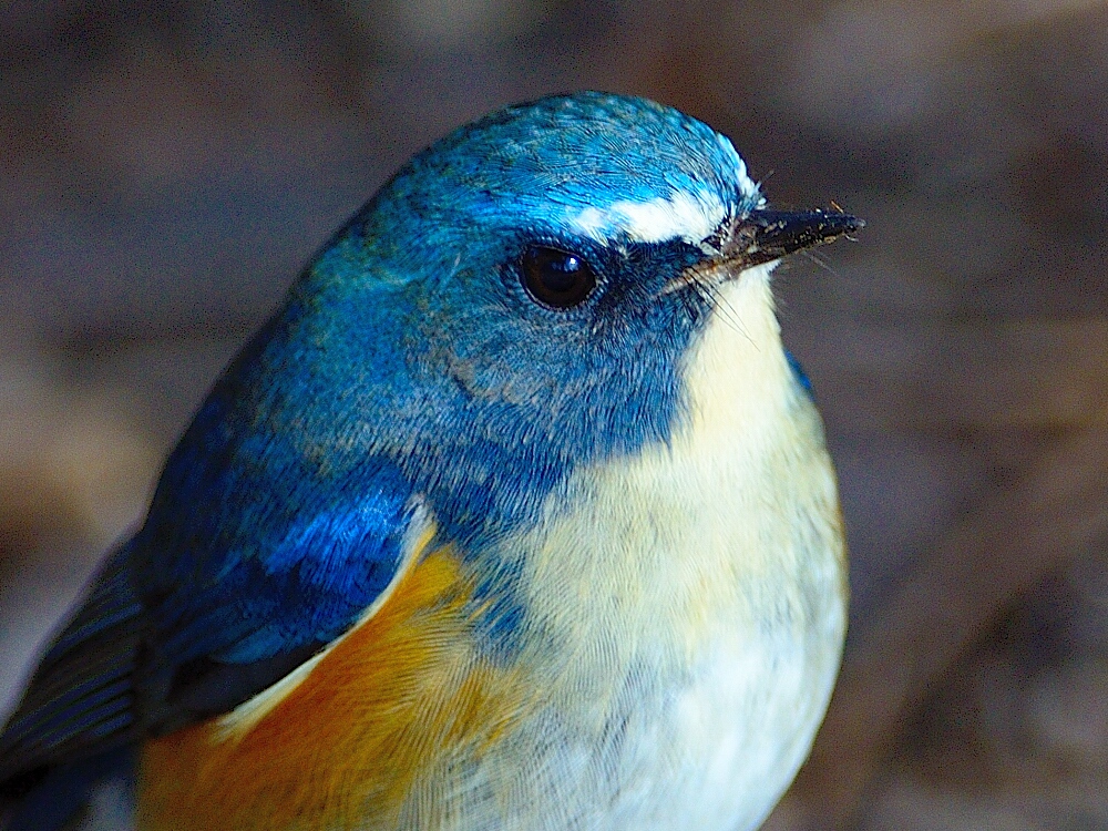 b0229686_2045138.jpg