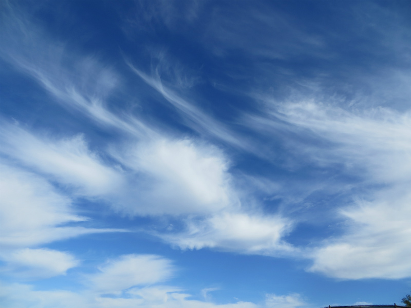 b0257088_15111230.jpg
