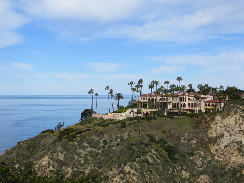 Scripps Coastal Reserve_b0257088_15114455.jpg