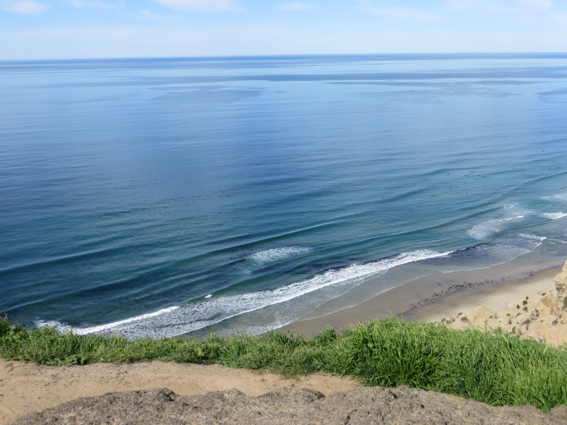 Scripps Coastal Reserve_b0257088_15153470.jpg