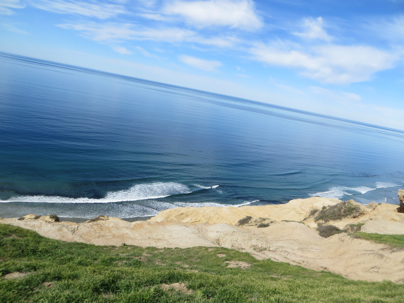 Scripps Coastal Reserve_b0257088_15174296.jpg