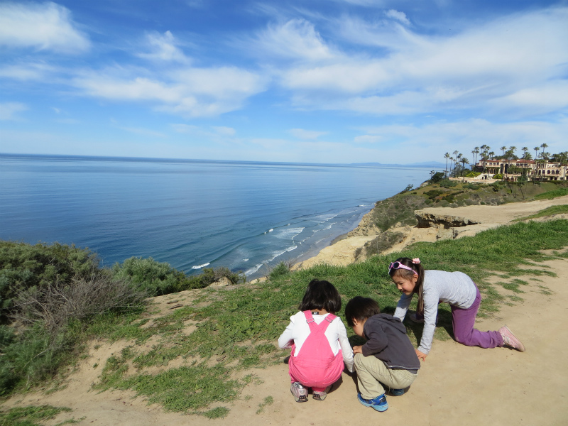 Scripps Coastal Reserve_b0257088_1518587.jpg